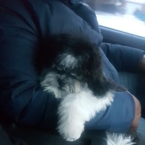 Meet your Posher, Tami